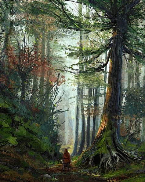 forêt Telemnalda.jpg