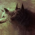 L'élevage des loups